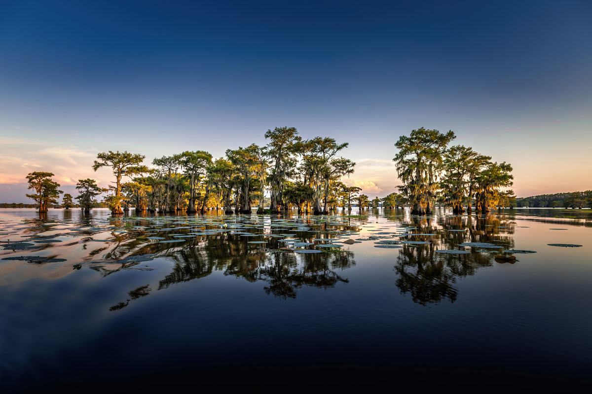 Caddo Lake State Park