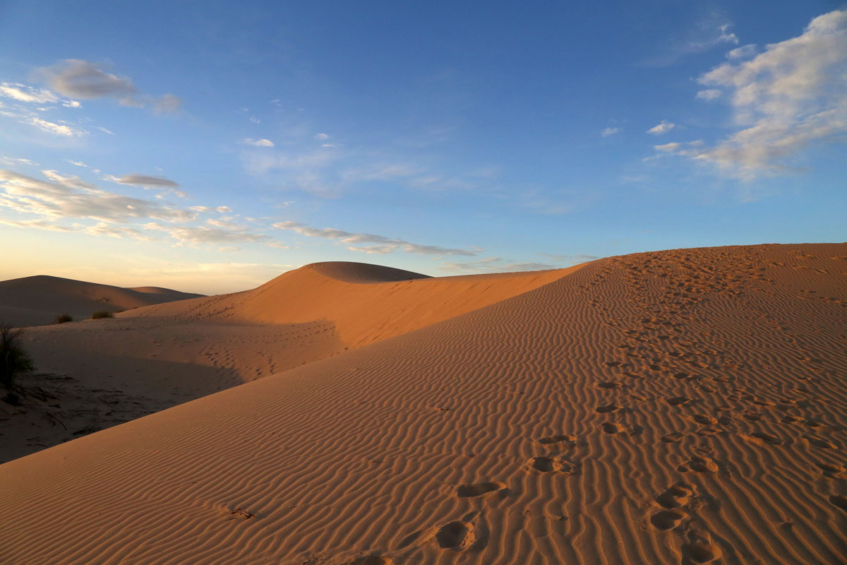 Monahans Sandhills State Park