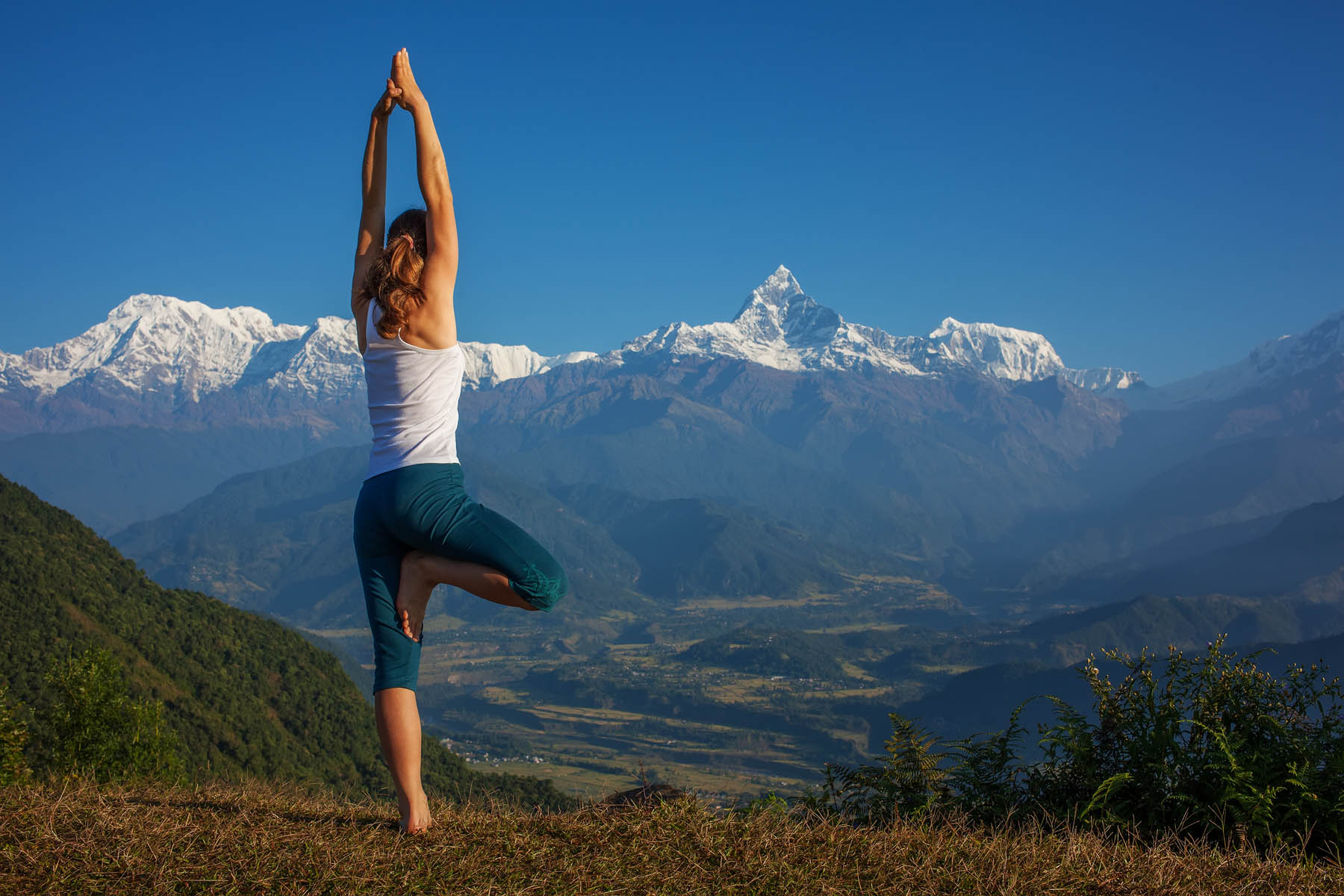 Himalaya Yoga.jpg