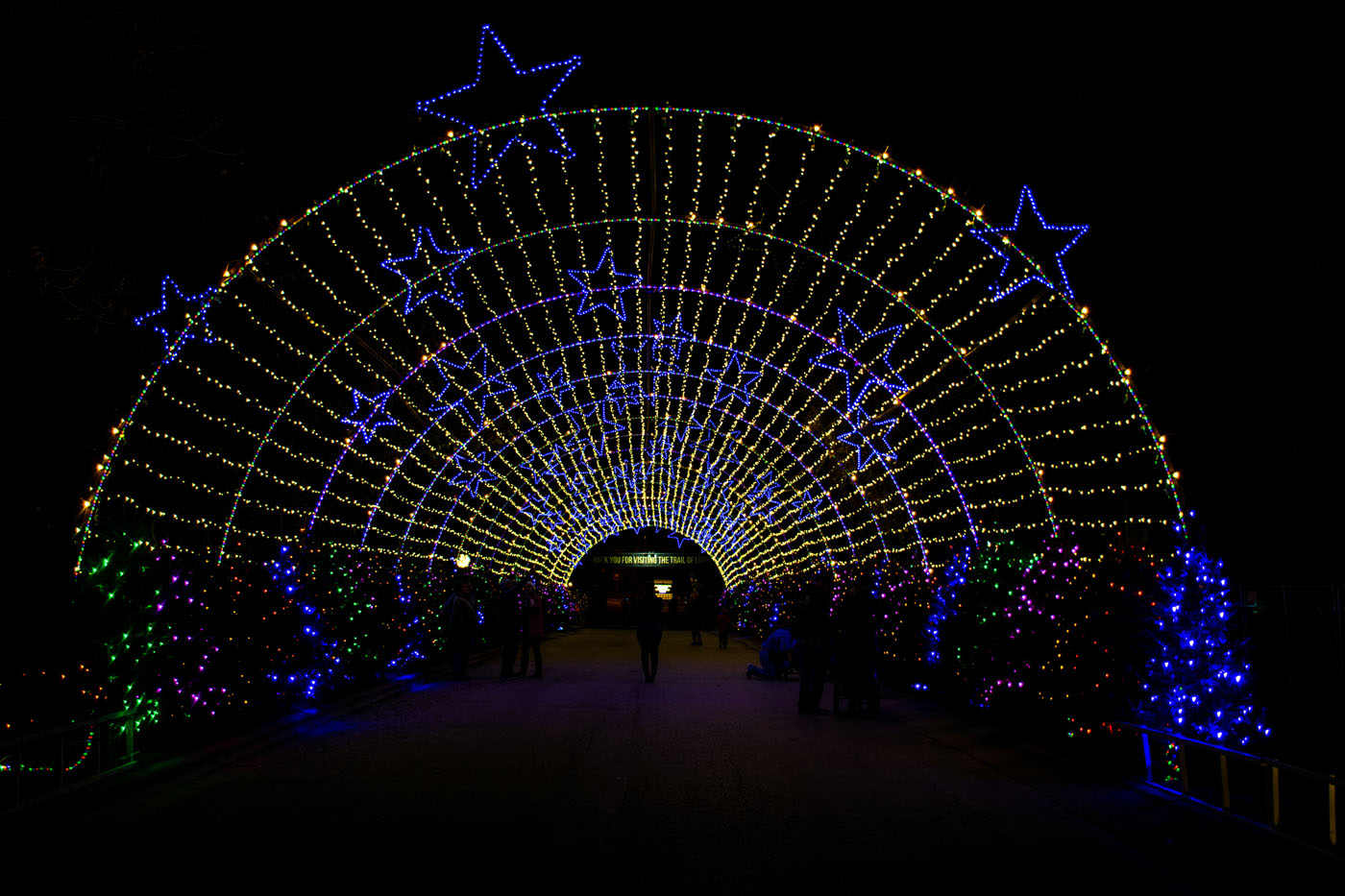 Trail of Lights